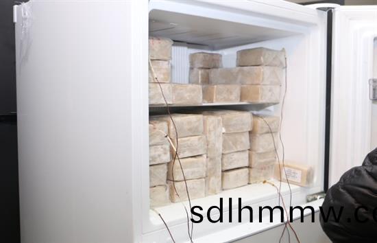 Refrigerator and freezer performance testing